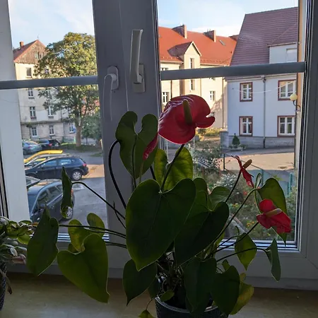 Na Klodzkiej Апартаменты *