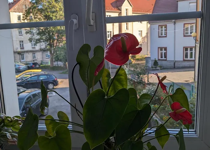 Na Klodzkiej Apartment *